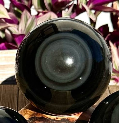 Black Ice Obsidian w/Gold Sheer Sphere - Protection, Grounding, Healing, Strength, New Beginnings